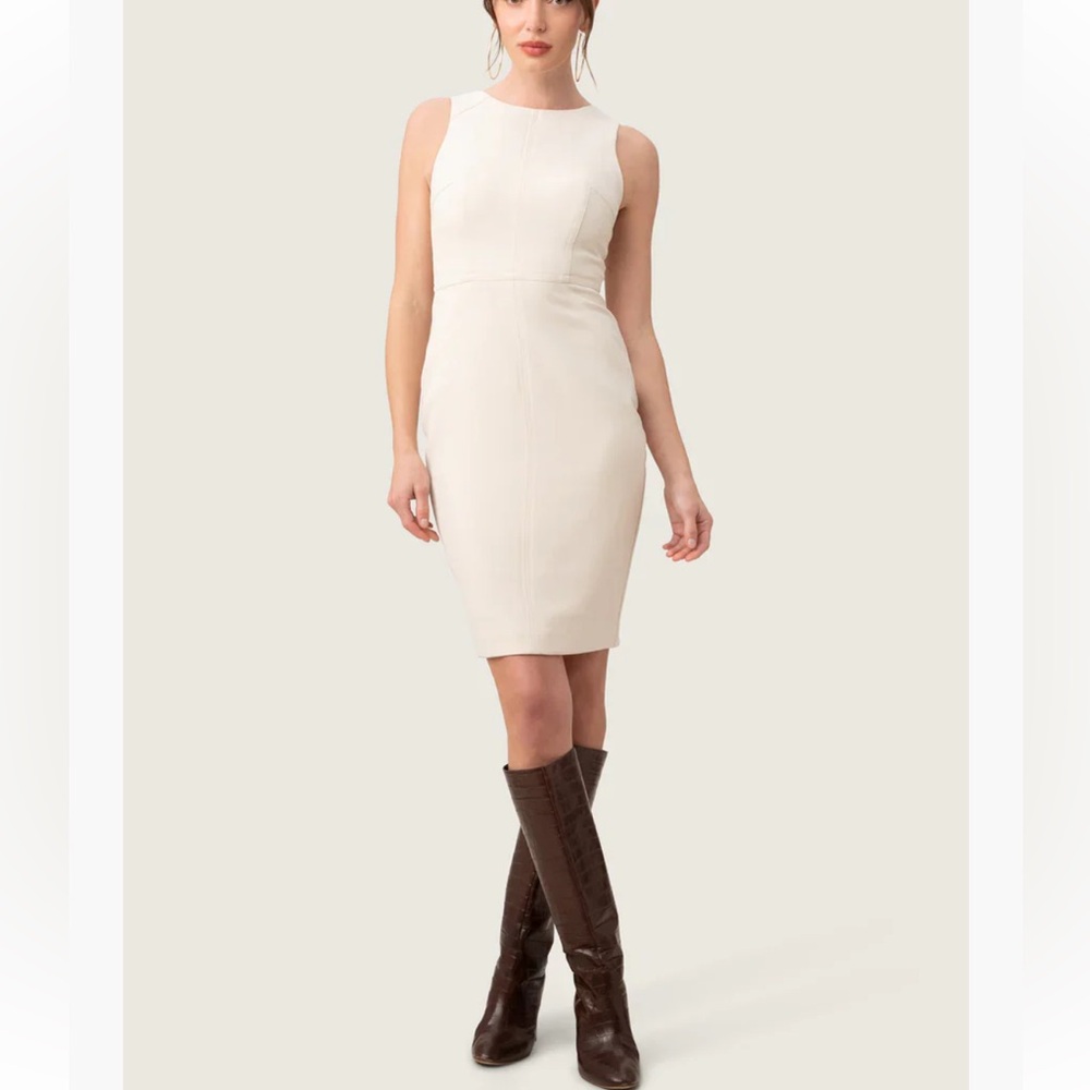NWOT Trina Turk Petit Rouge Dress- 8
